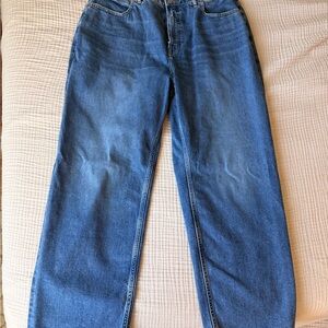 Everlane Curvy Way High Waist Jean